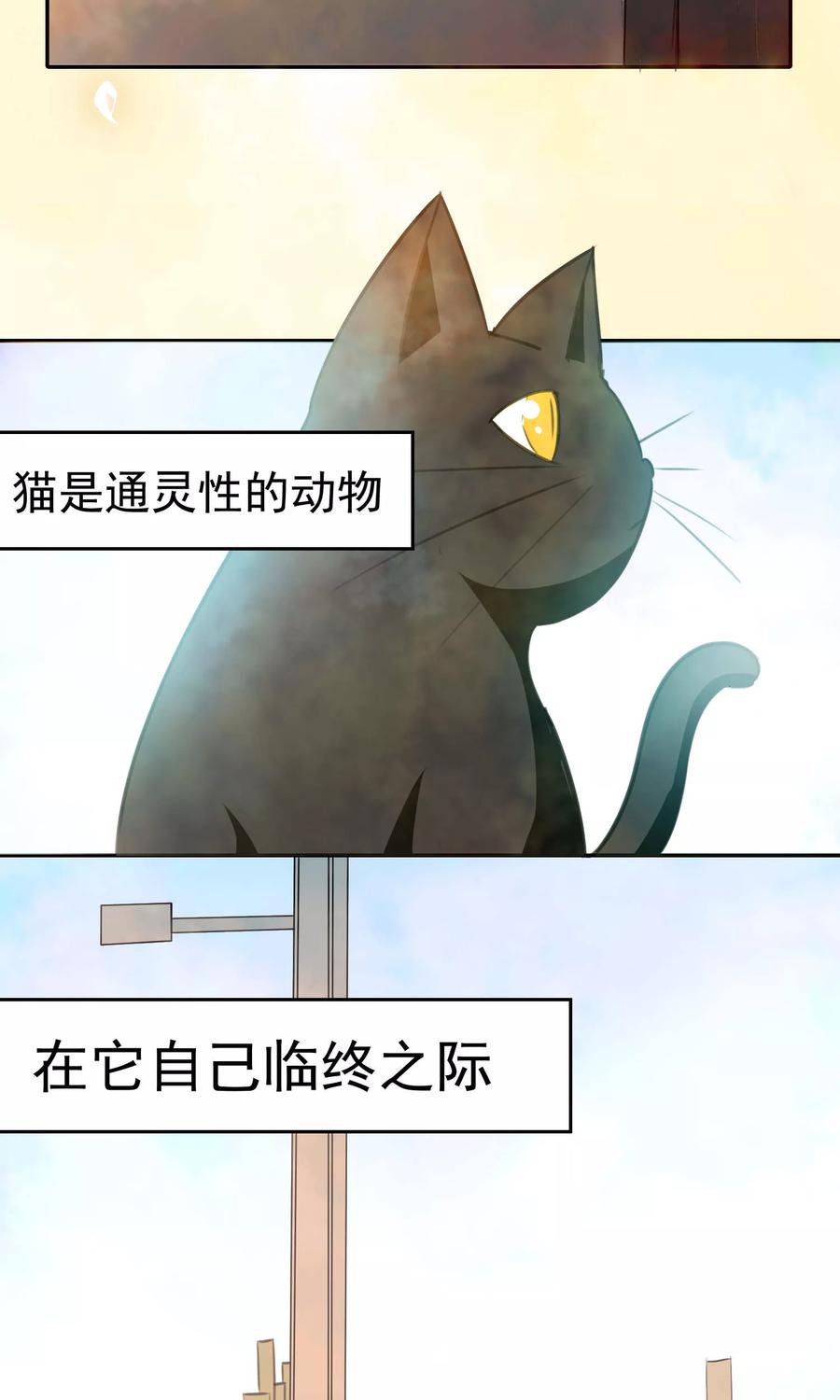 第89话-猫的制作人-极漫文化（第8张）