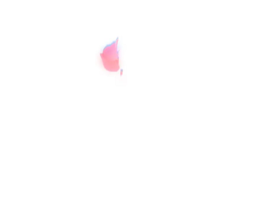 93.jpg