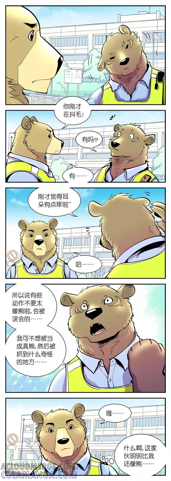 第24话掉毛问题(3)-熊警察-毅鼠（第3张）