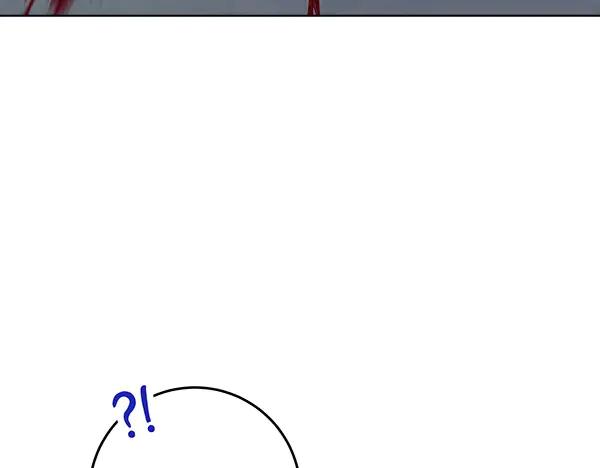 164.jpg
