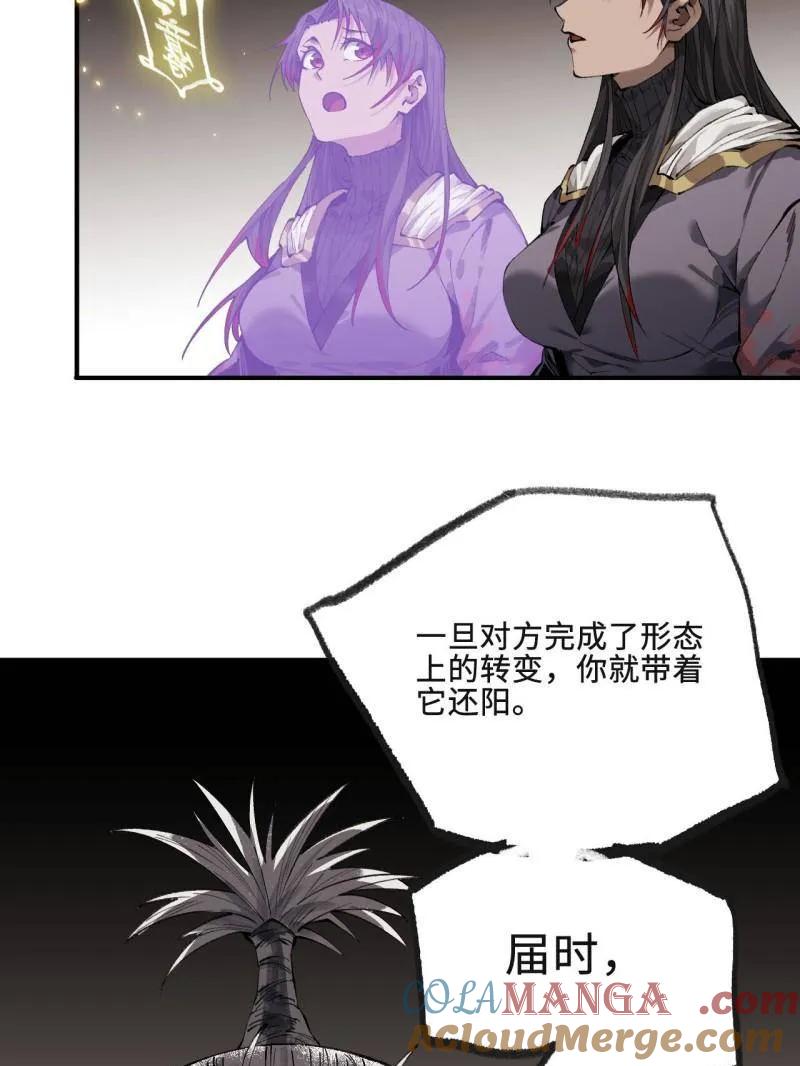61.jpg
