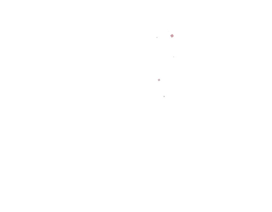 96.jpg