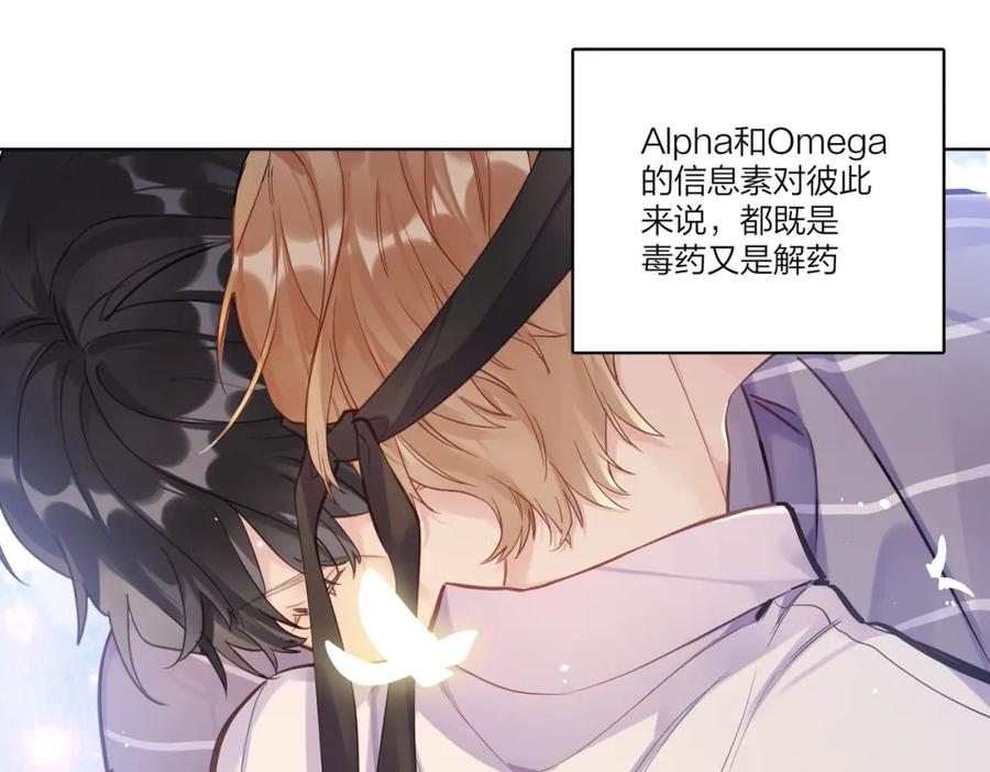 84.jpg