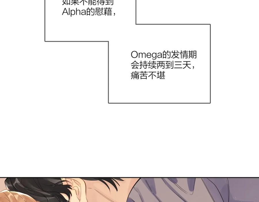 81.jpg