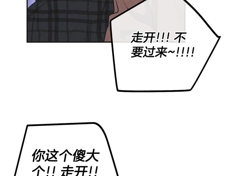 84.jpg
