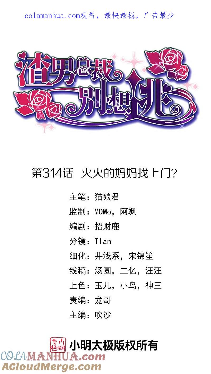第314话火火的妈妈找上门？-渣男总裁别想逃-极漫文化（第1张）
