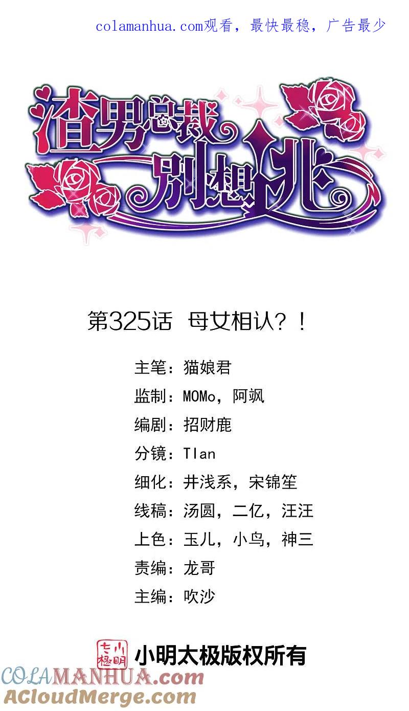 第325话母女相认？！-渣男总裁别想逃-极漫文化（第1张）