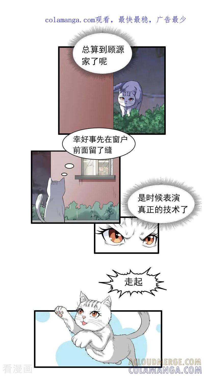 第14话杀了公主-她是猫-夜摩天文化（第1张）
