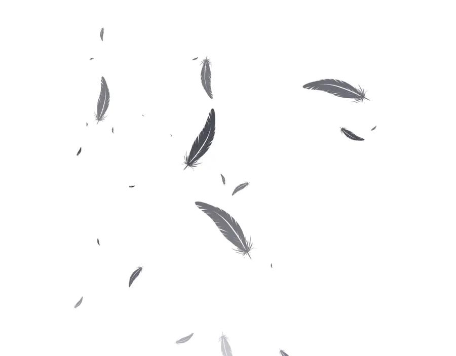 71.jpg