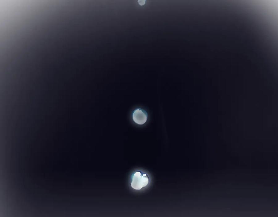 88.jpg