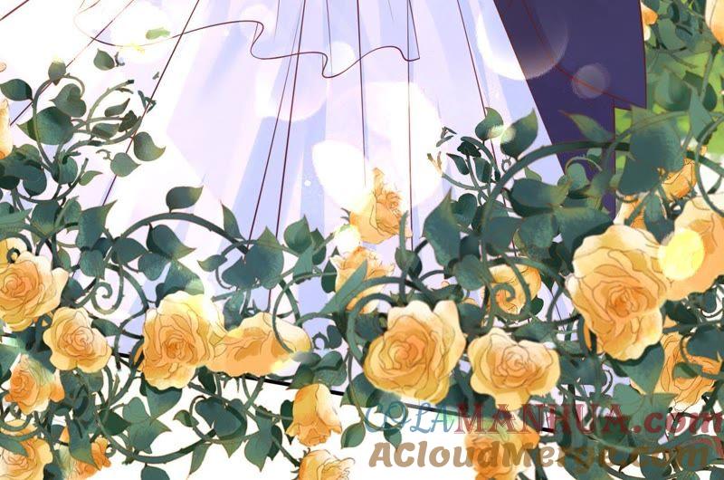 嫁给我-蜜桃小情人之烈爱知夏-云端漫画（第25张）