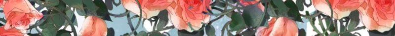 幸福的新娘-蜜桃小情人之烈爱知夏-云端漫画（第33张）