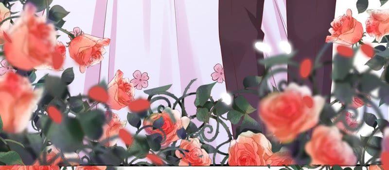 幸福的新娘-蜜桃小情人之烈爱知夏-云端漫画（第36张）
