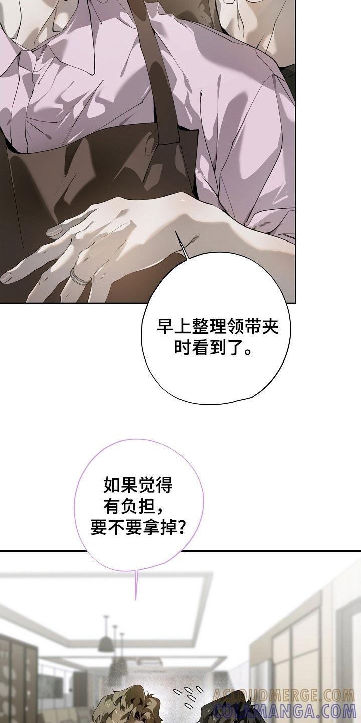 第114章：婚戒-致不爱你的我-ISNAX（第16张）