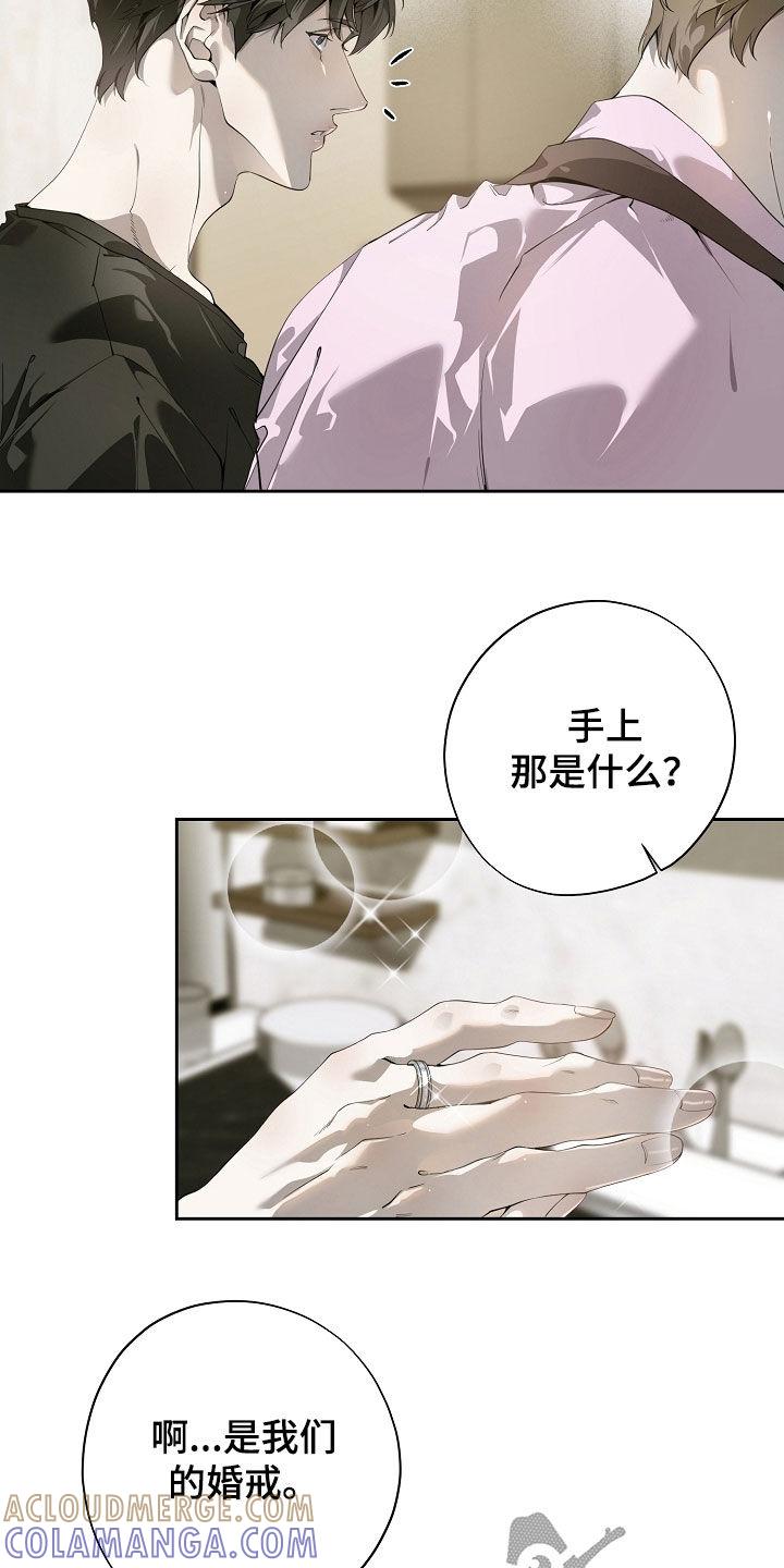 第114章：婚戒-致不爱你的我-ISNAX（第14张）