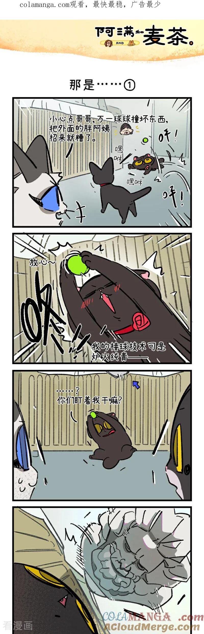 第237话-阿满和麦茶-新漫画 日胖大海寺（第1张）