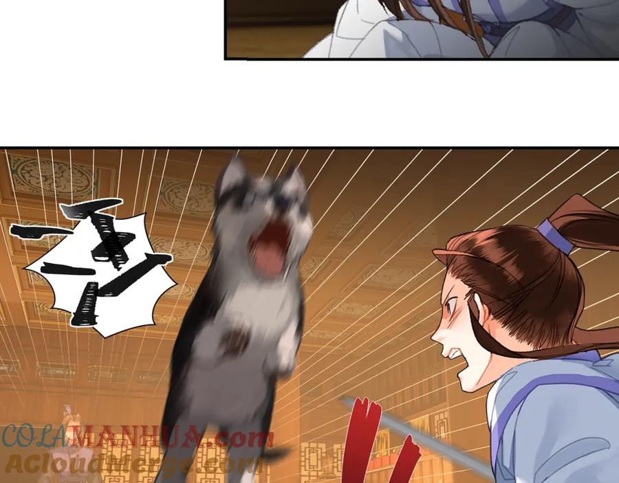 46.jpg