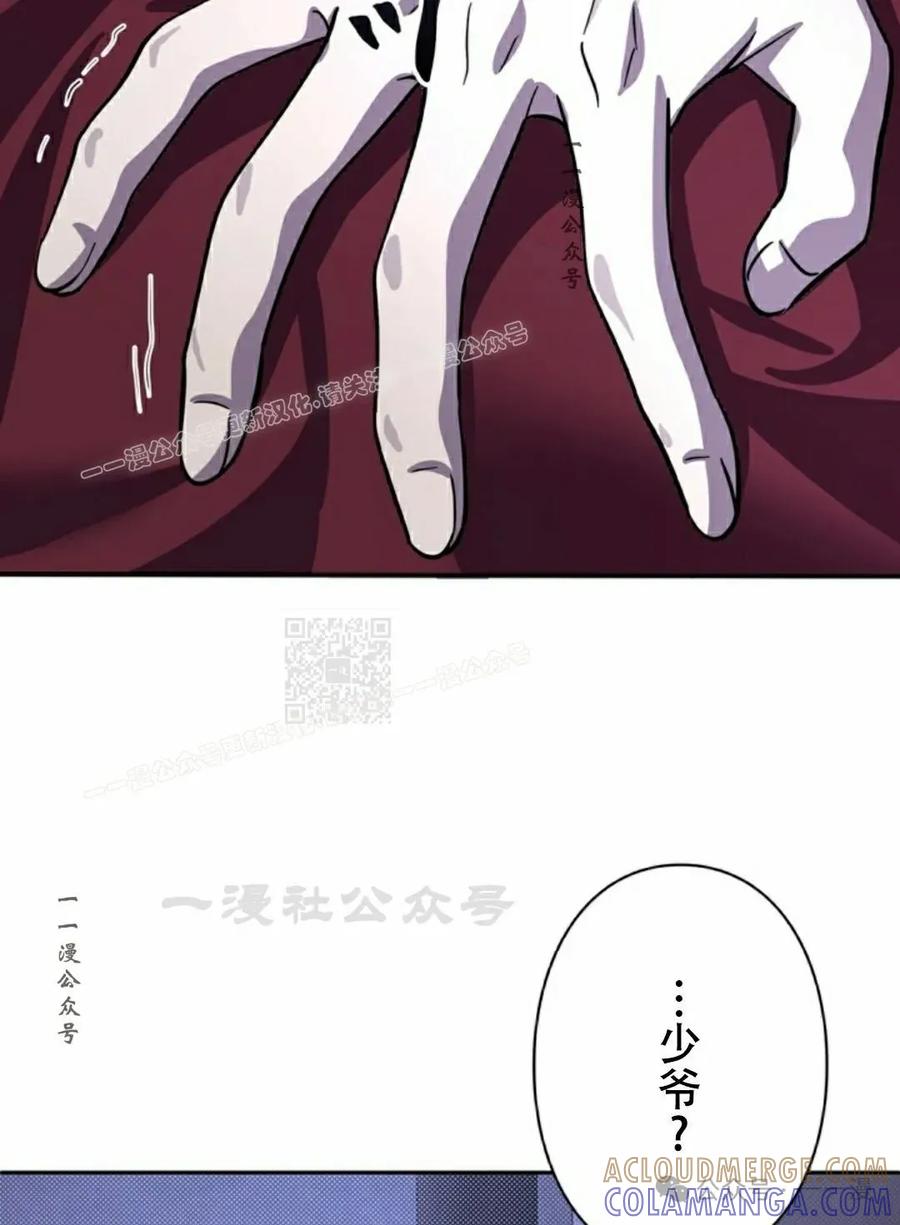 97.jpg
