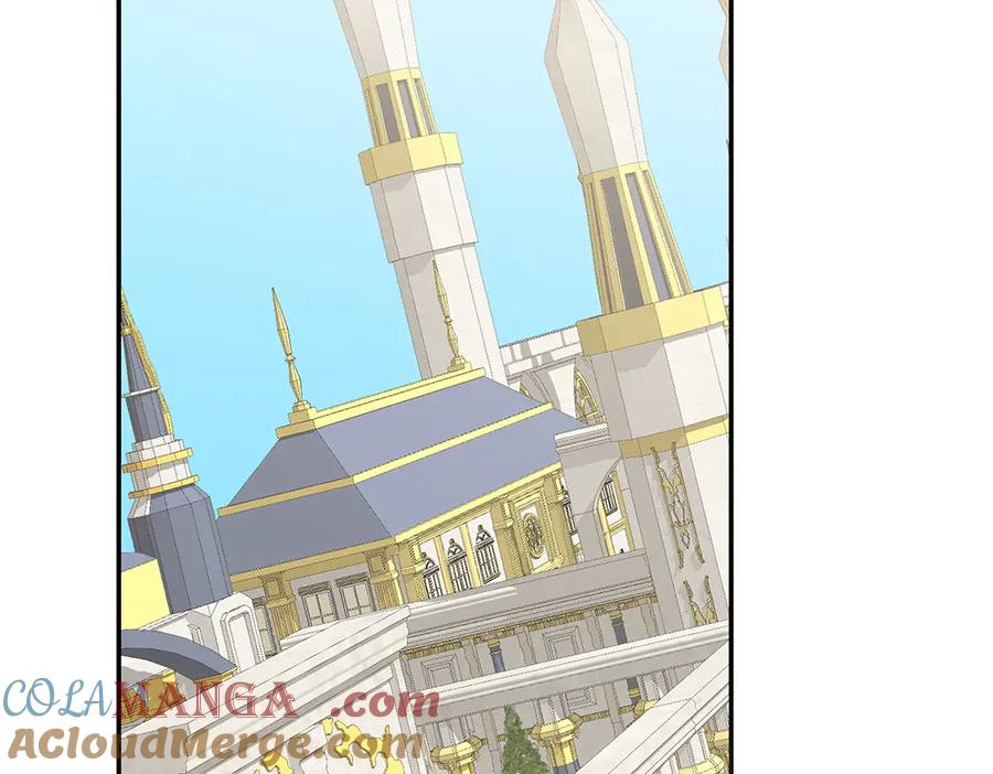 213.jpg