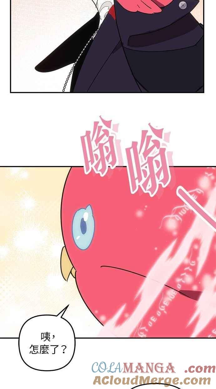 67.jpg