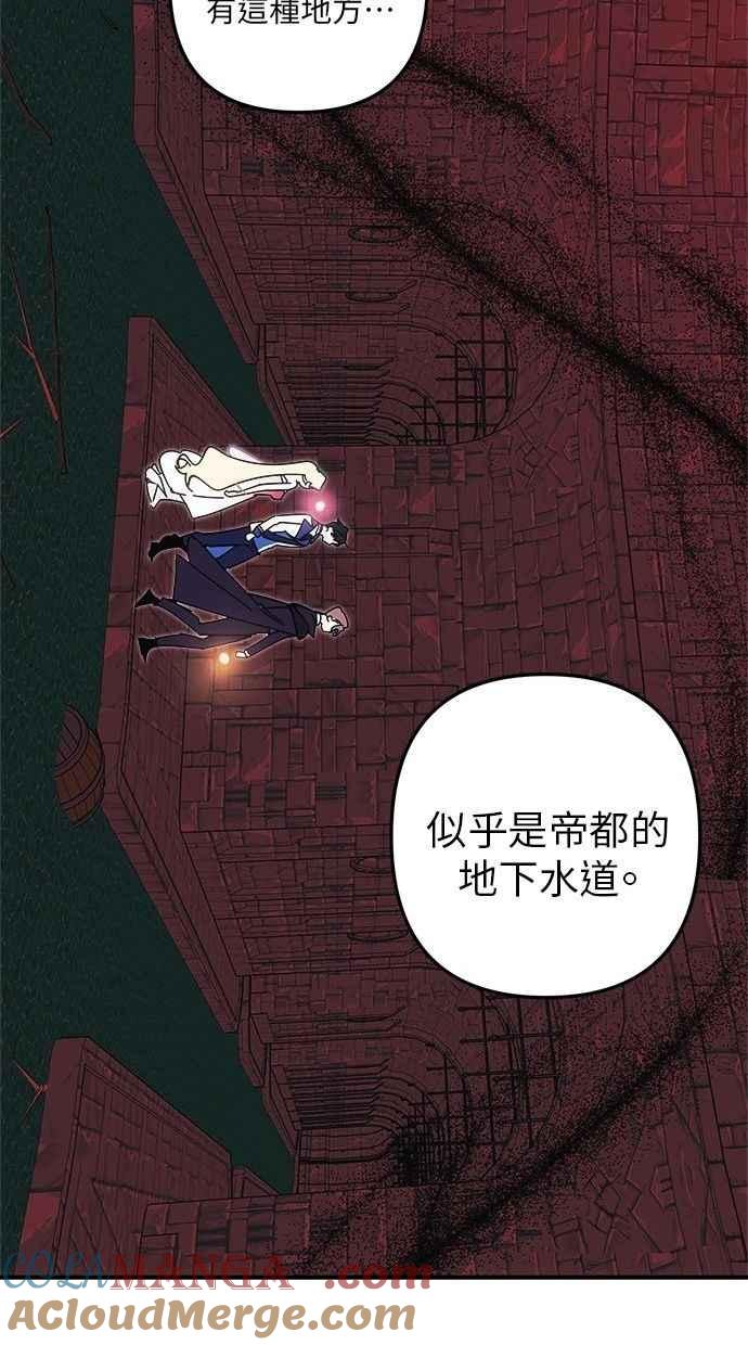 79.jpg