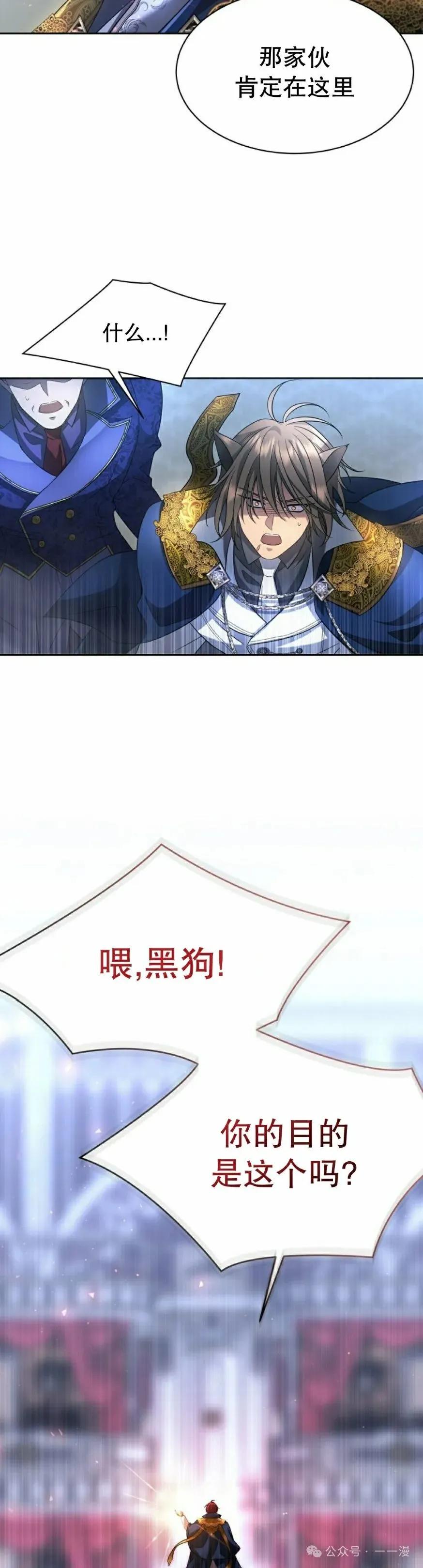 35.jpg