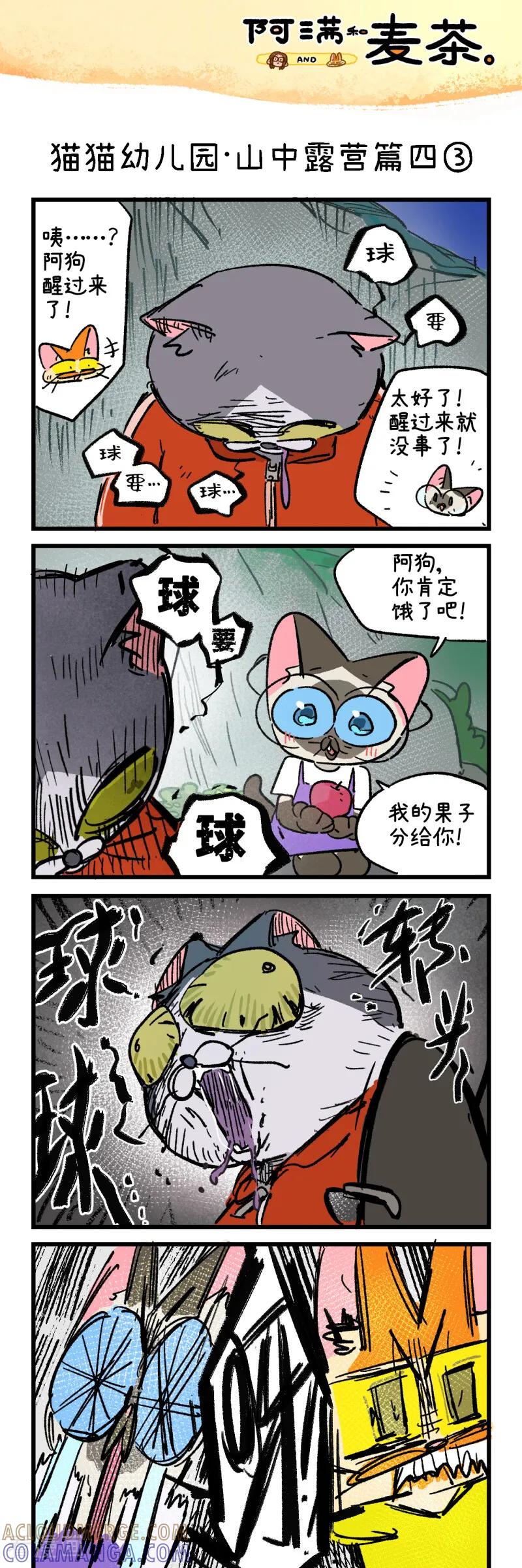 第264话-阿满和麦茶-新漫画 日胖大海寺（第5张）
