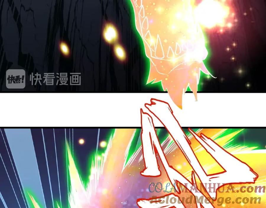 113.jpg