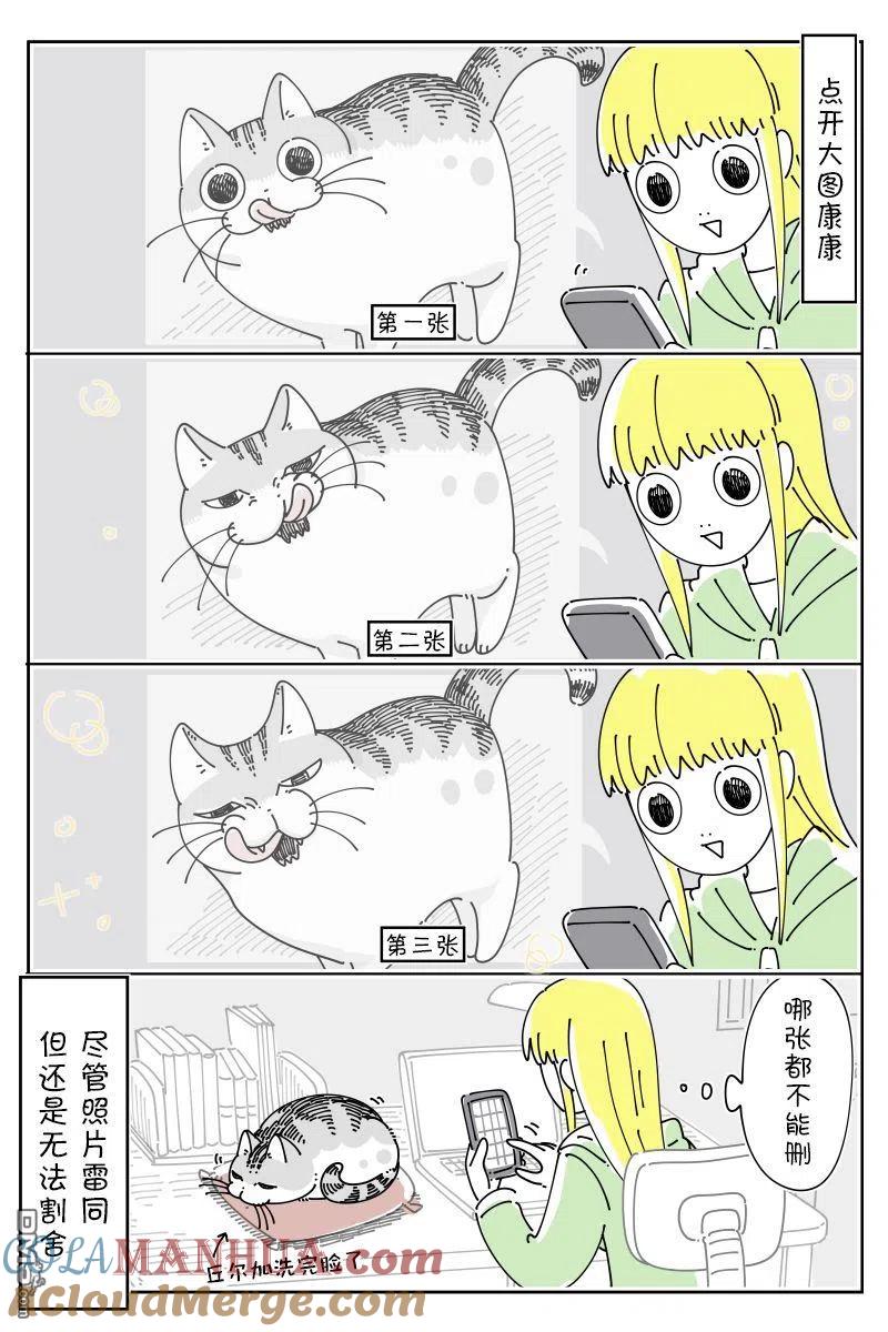 第135话-关于养猫我一直是新手-キュルZ（第2张）