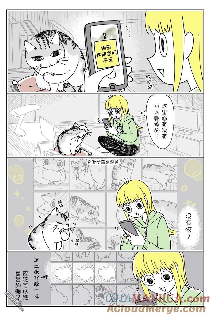 第135话-关于养猫我一直是新手-キュルZ（第1张）