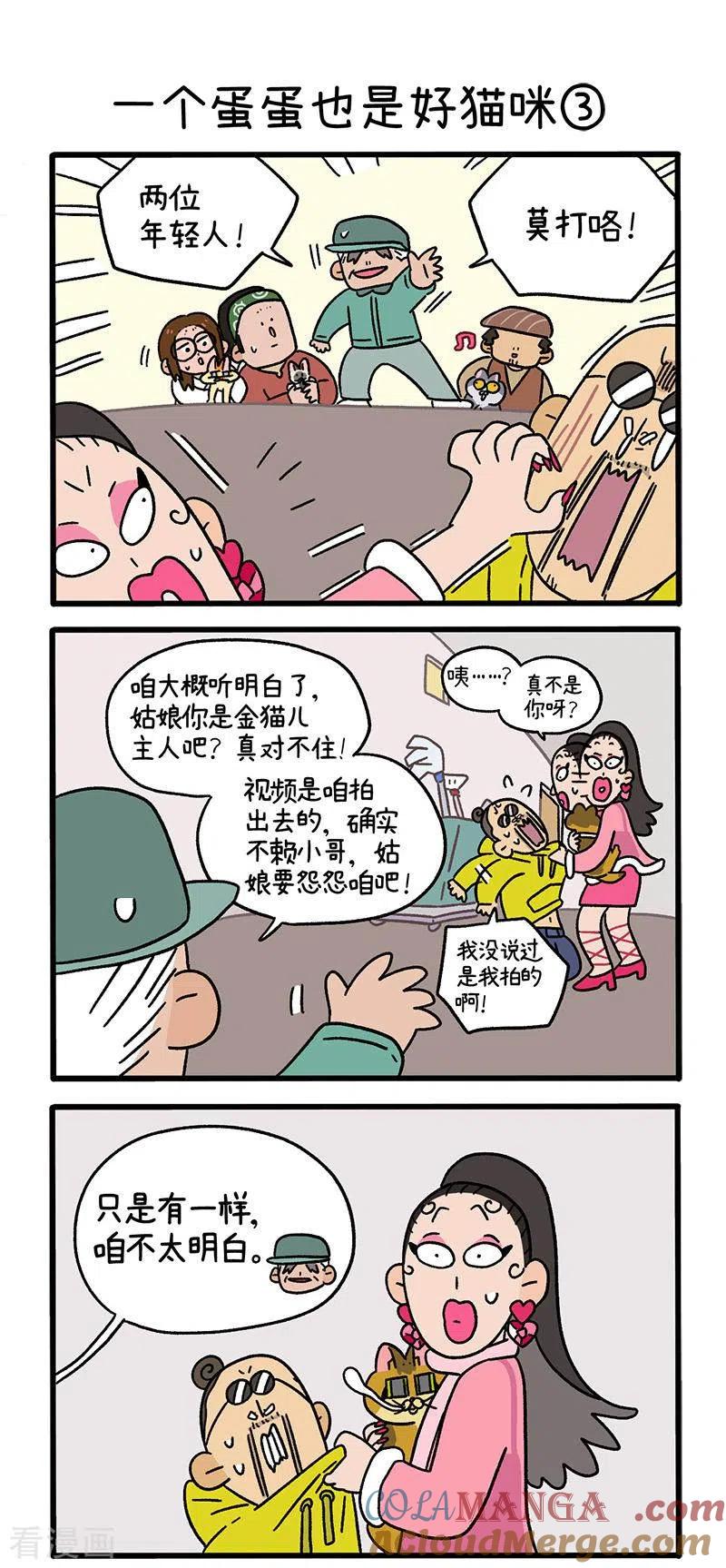 第78话1一个蛋蛋也是好猫咪-阿满和麦茶-新漫画 日胖大海寺（第4张）