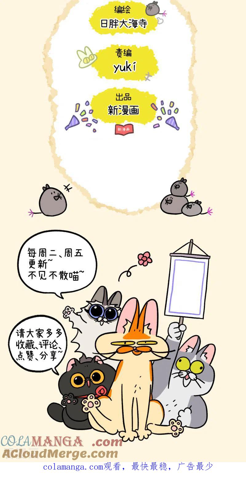 第78话1一个蛋蛋也是好猫咪-阿满和麦茶-新漫画 日胖大海寺（第6张）