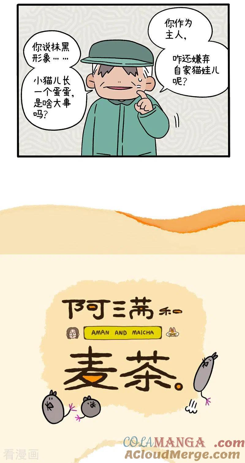 第78话1一个蛋蛋也是好猫咪-阿满和麦茶-新漫画 日胖大海寺（第5张）