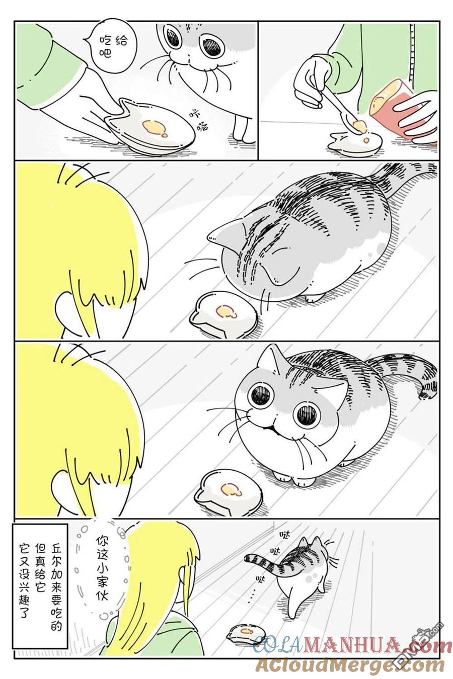 第145话-关于养猫我一直是新手-キュルZ（第2张）