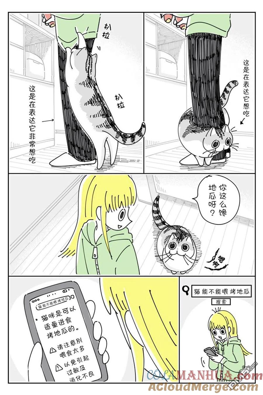 第145话-关于养猫我一直是新手-キュルZ（第1张）