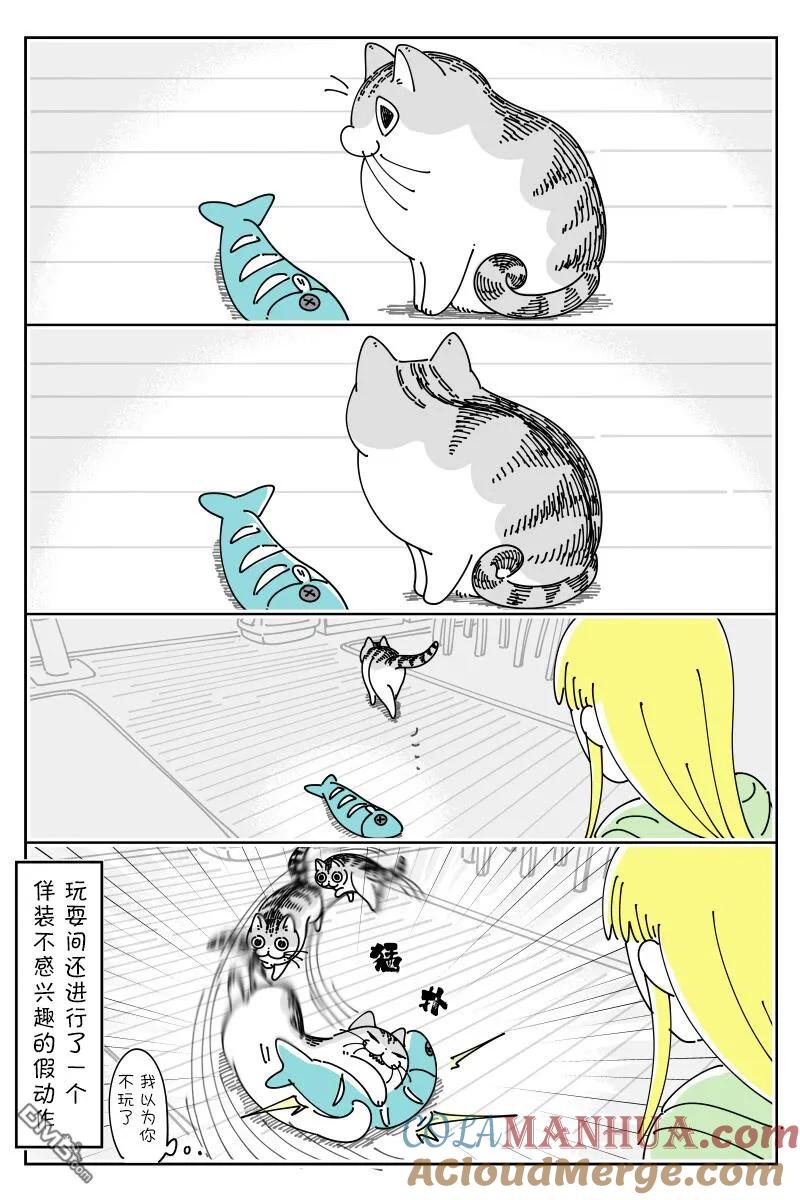 第146话-关于养猫我一直是新手-キュルZ（第2张）