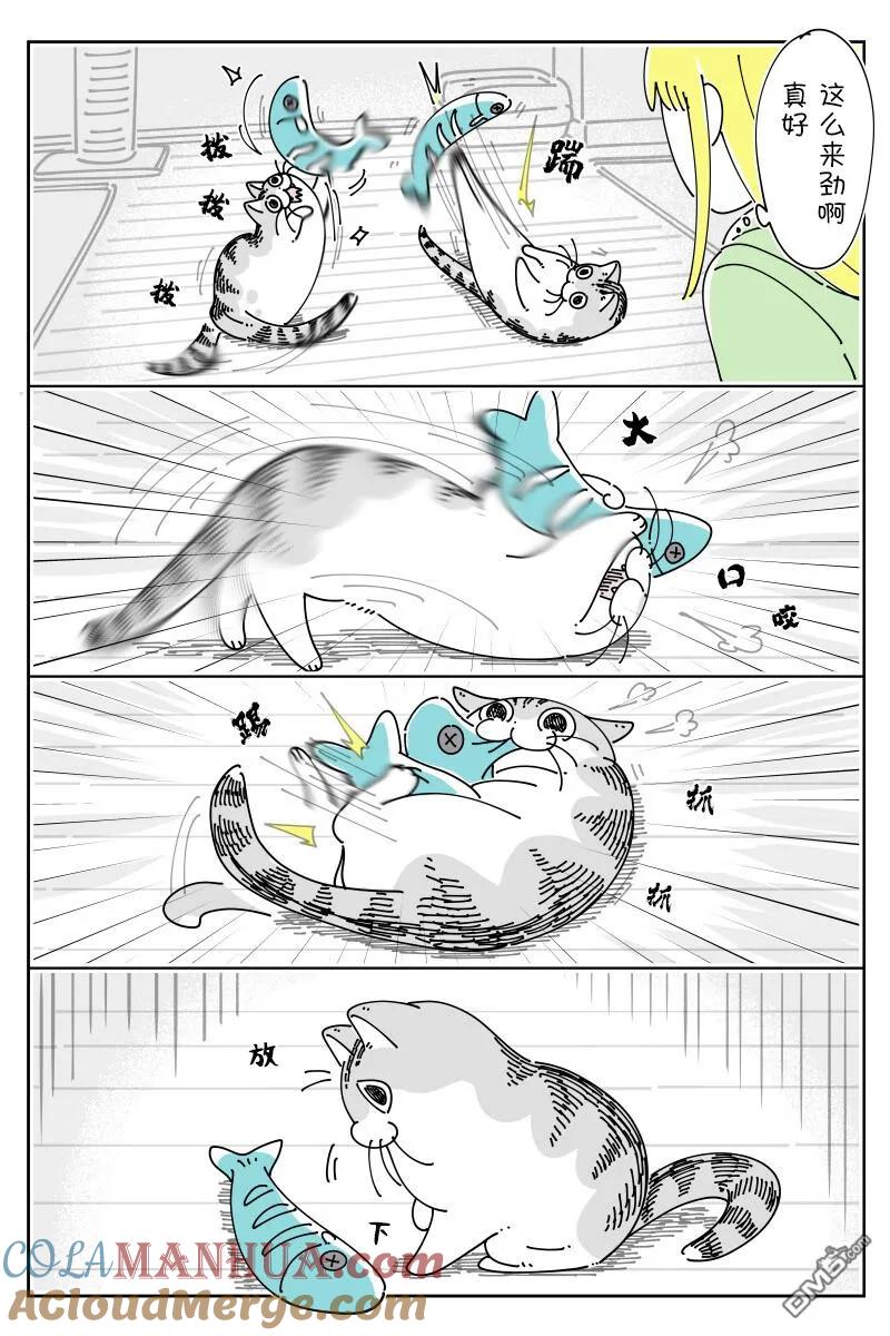 第146话-关于养猫我一直是新手-キュルZ（第1张）