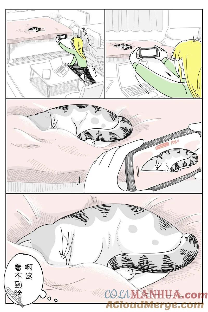 第152话-关于养猫我一直是新手-キュルZ（第1张）