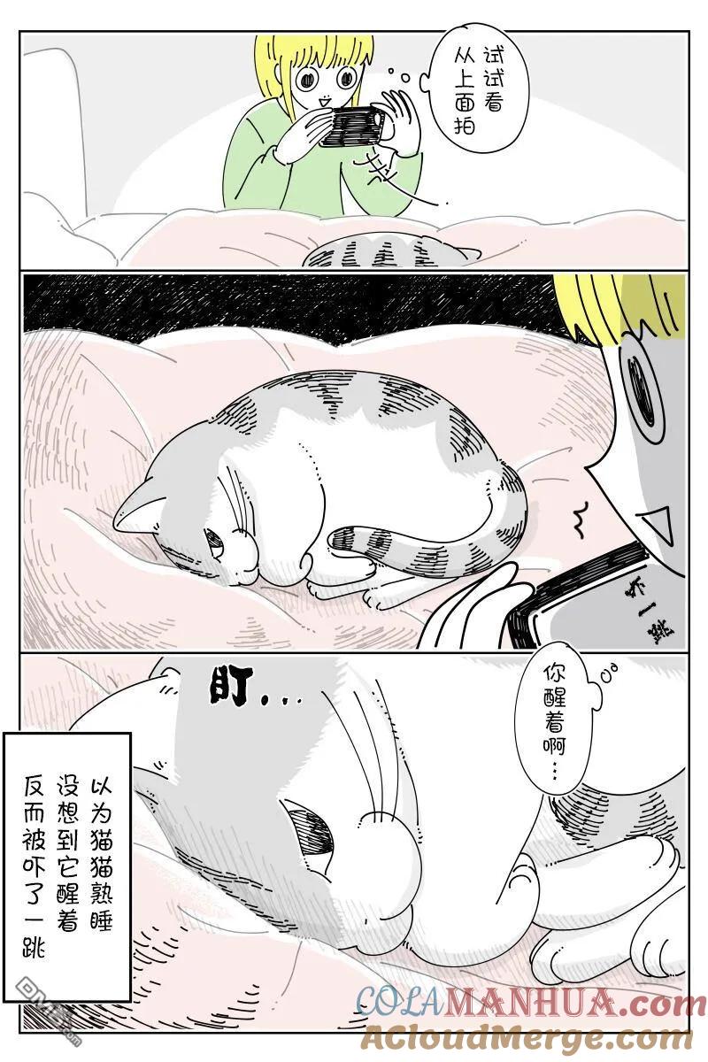 第152话-关于养猫我一直是新手-キュルZ（第2张）