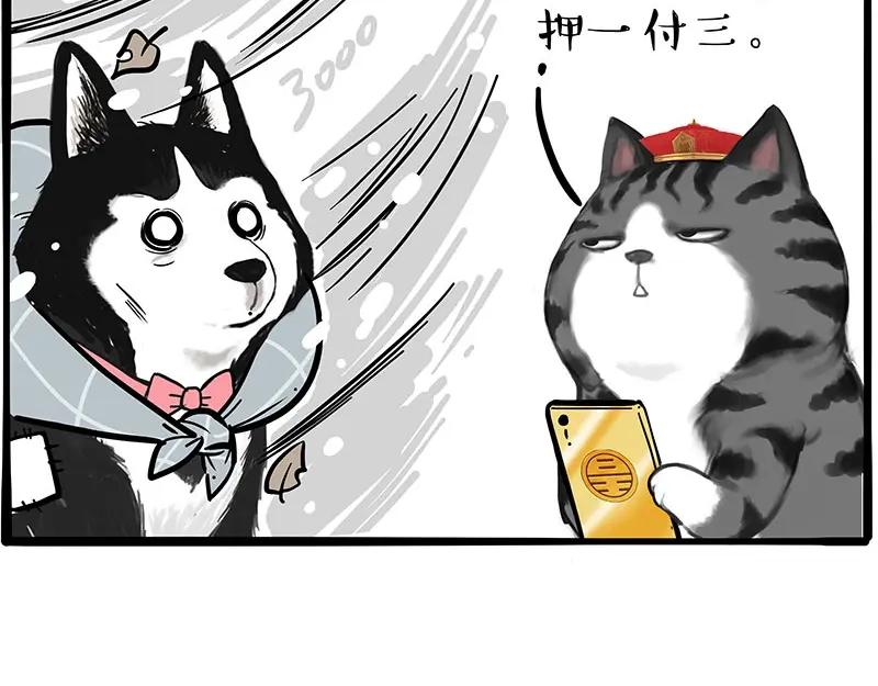 29.jpg