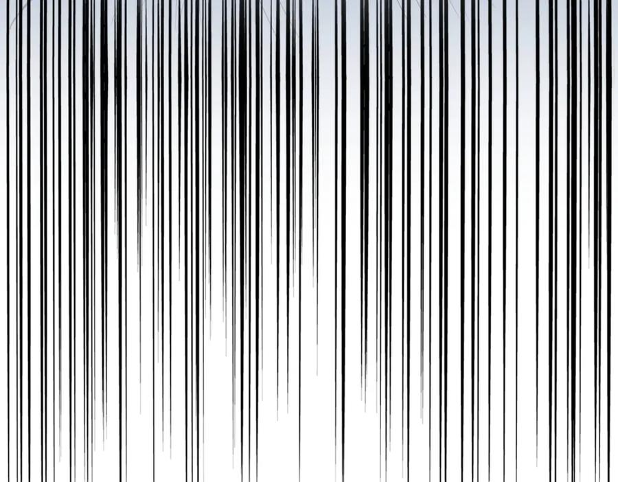 100.jpg