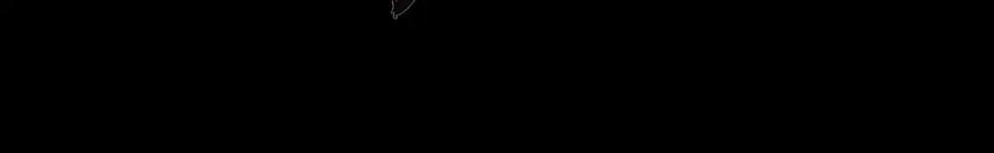 66.jpg