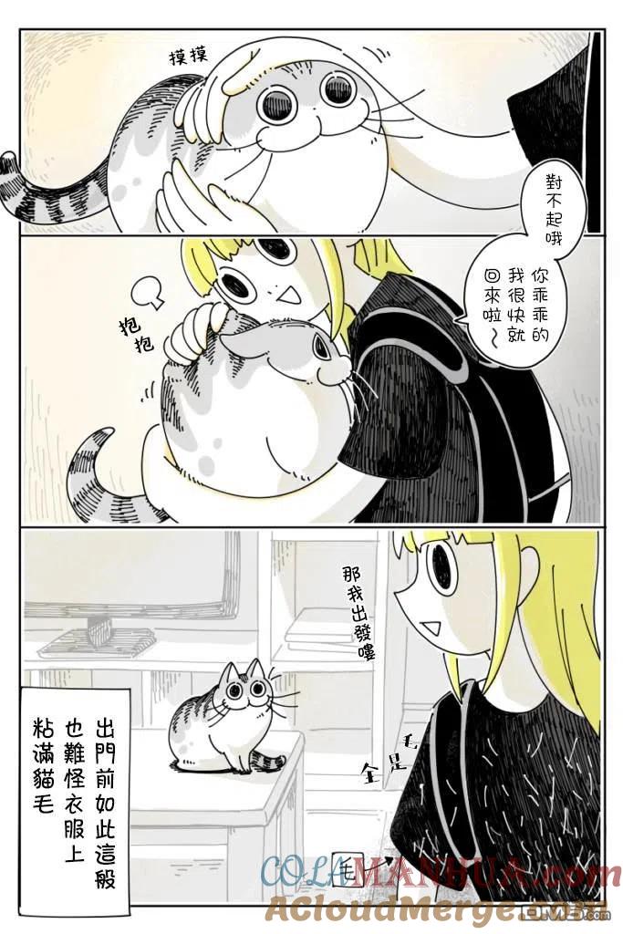 第30话-关于养猫我一直是新手-キュルZ（第1张）
