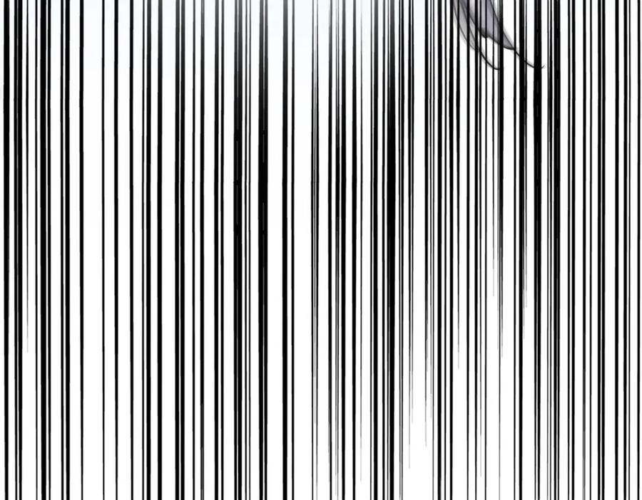 126.jpg