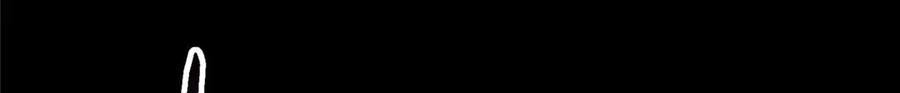 171.jpg