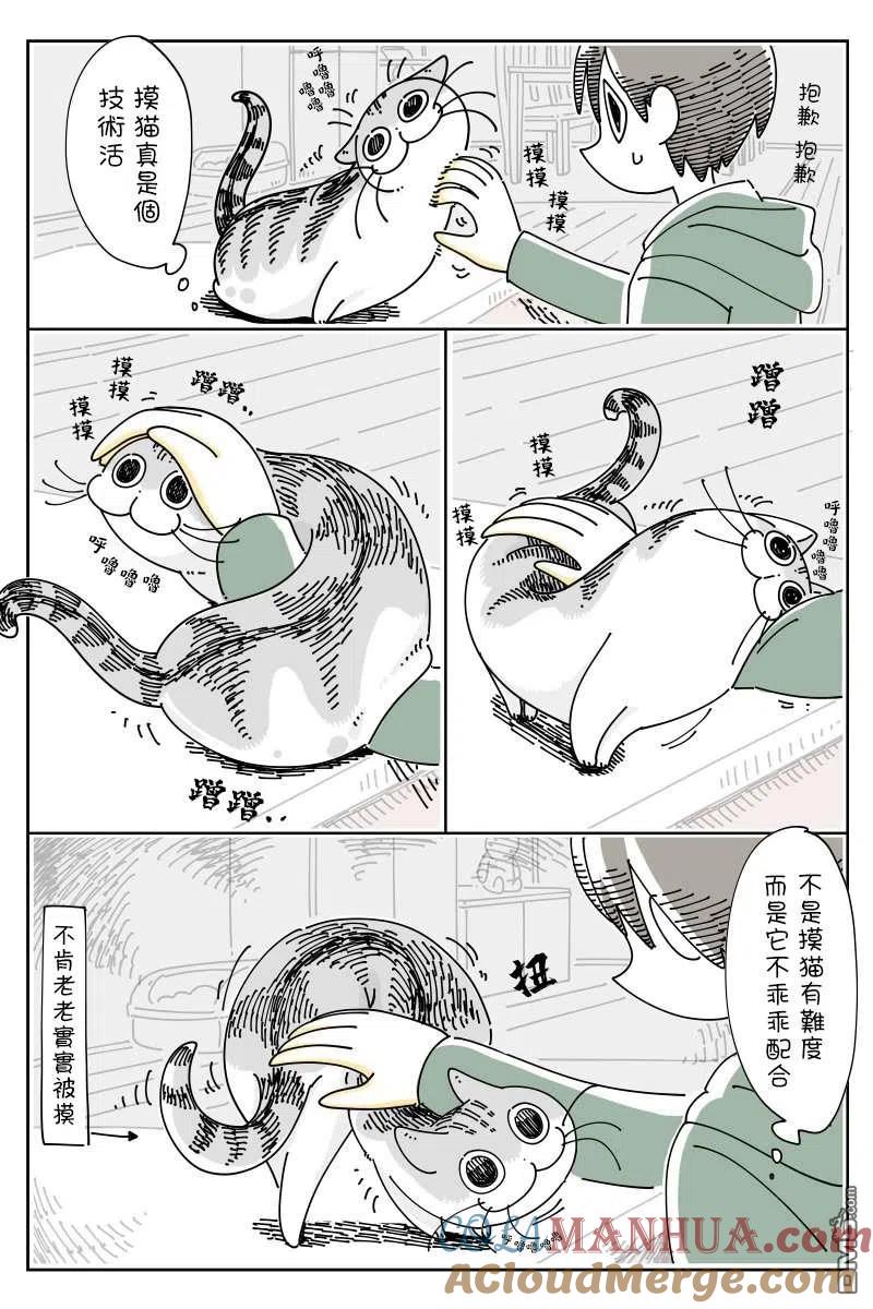 第48话-关于养猫我一直是新手-キュルZ（第2张）