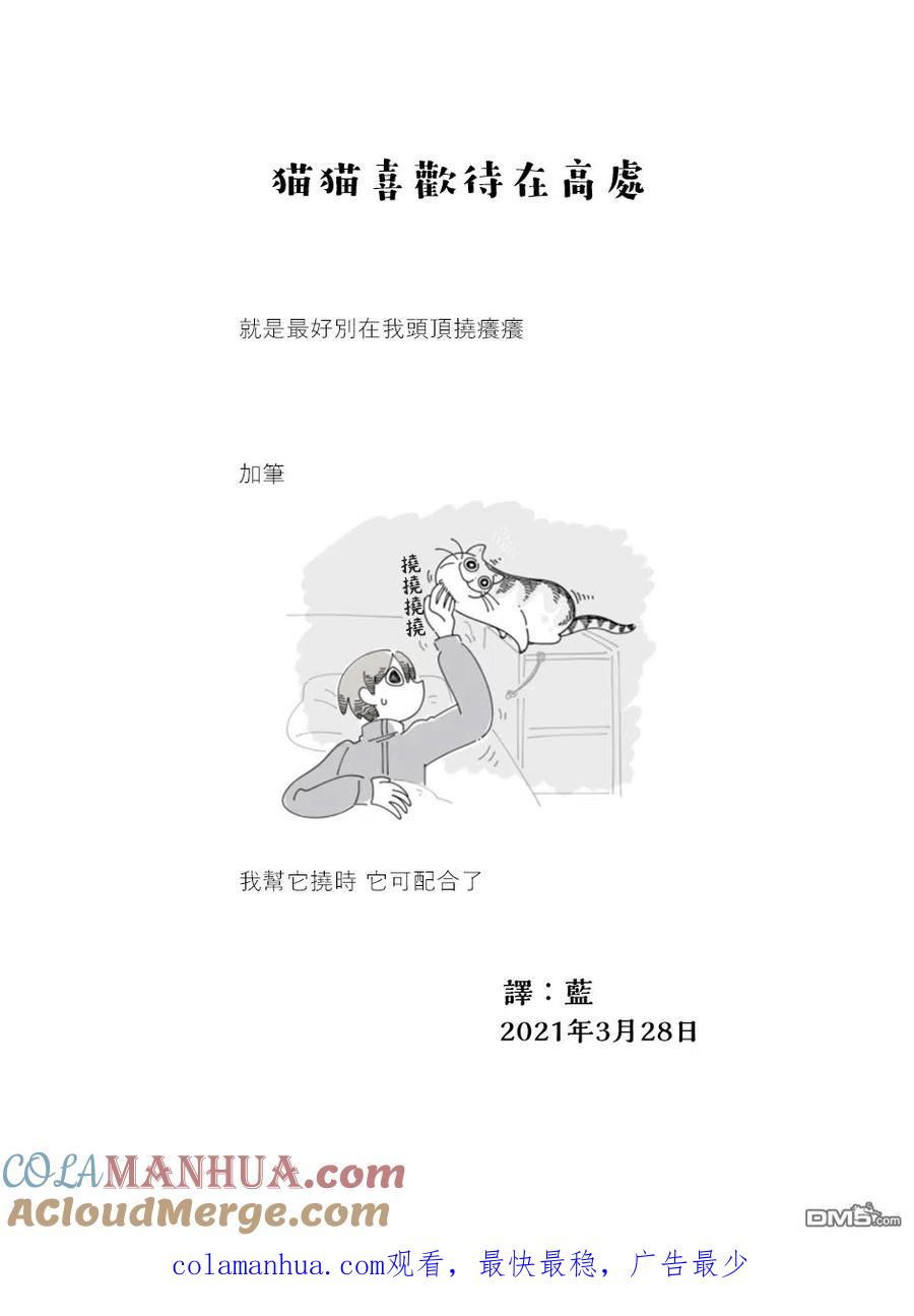 第56话-关于养猫我一直是新手-キュルZ（第2张）