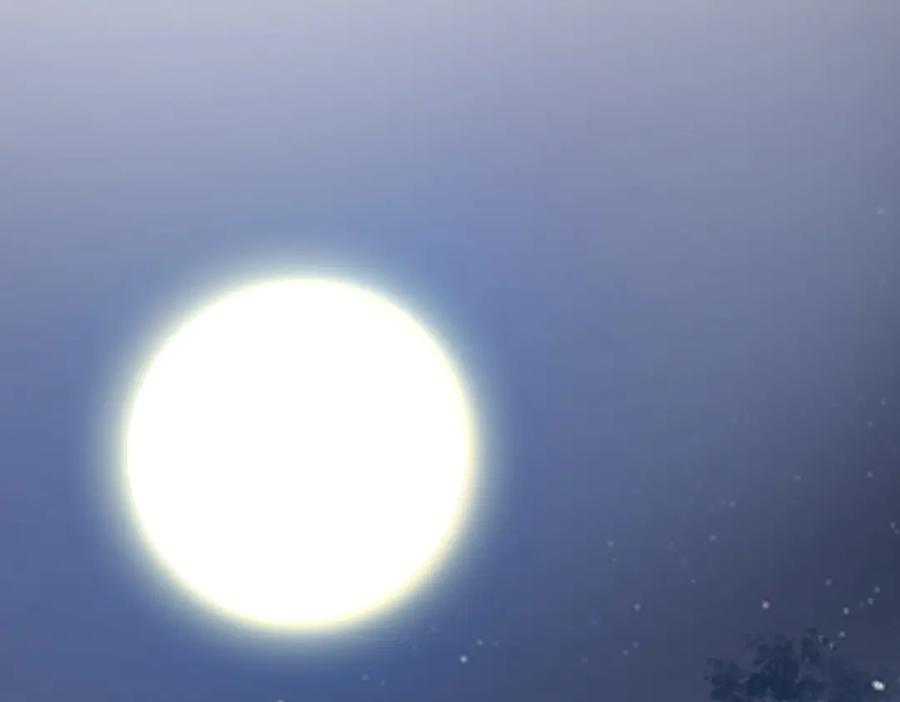 88.jpg
