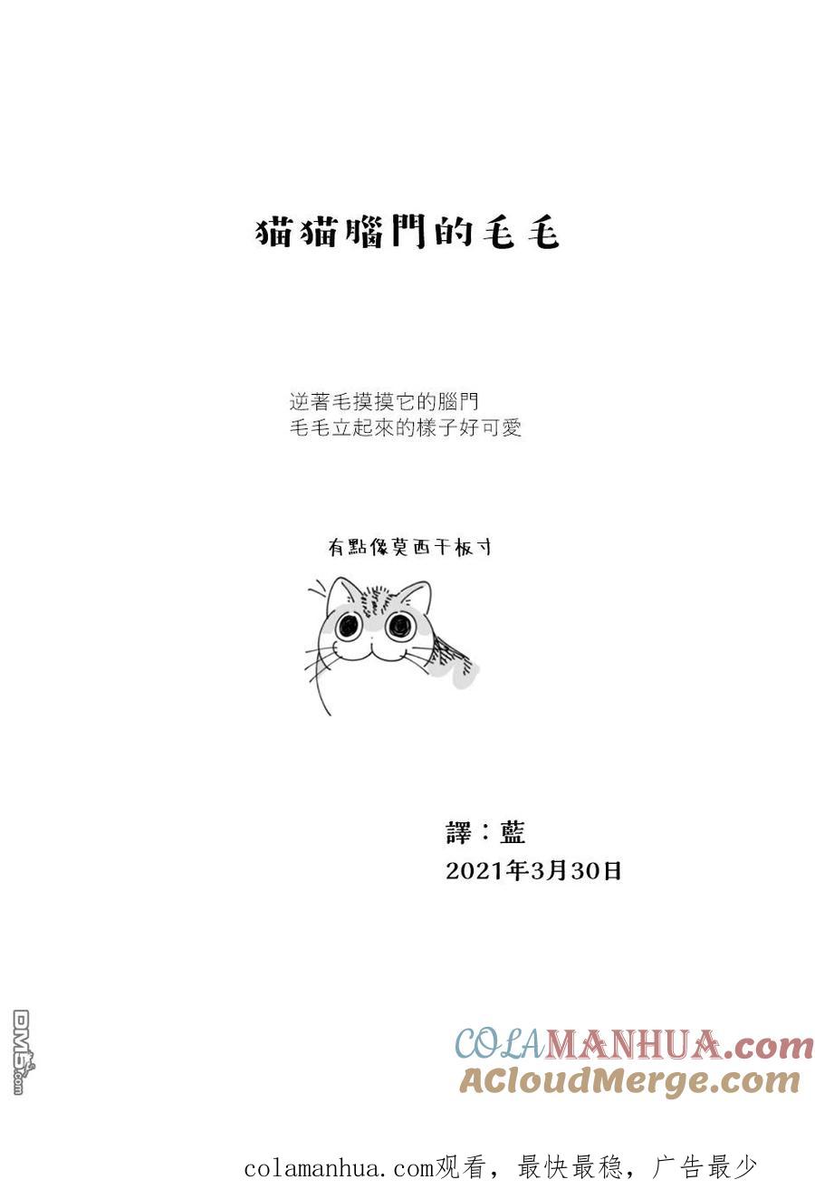第57话-关于养猫我一直是新手-キュルZ（第2张）