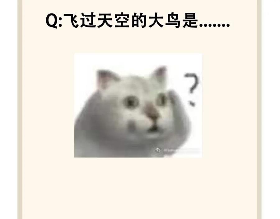 80.jpg